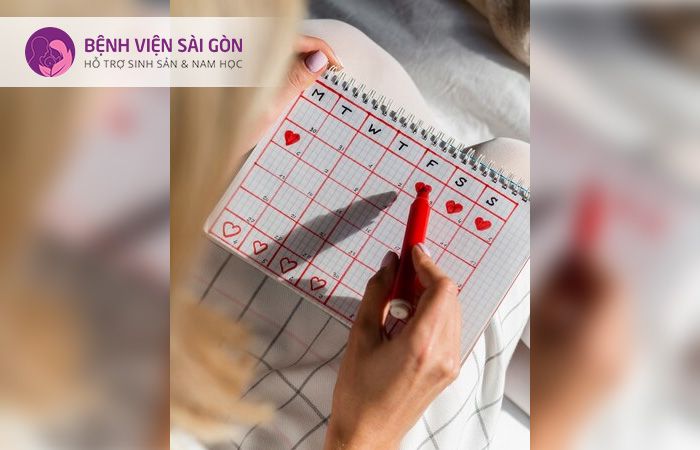 Nhân viên phôi học kinh nghiệm dày dặn, chuyên môn vững chắc